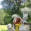 ���� ��������, �����-���������, 52 ���� - ��������� 26 ���� 2017 � ������ ���� ����������