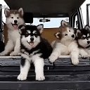 ���� Olga, �������, 60 ��� - ��������� 23 �������� 2017 � ������ ������