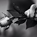 ���� ����, ������, 29 ��� - ��������� 23 ������ 2017 � ������ ���� ����������