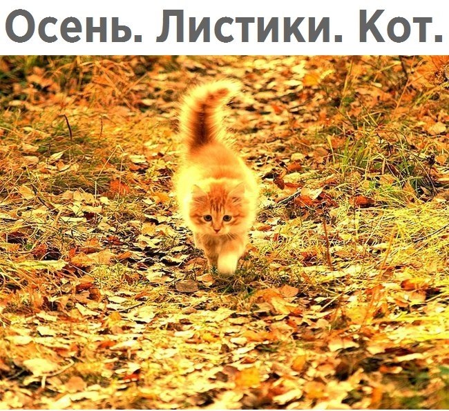   - 23  2017  15:48