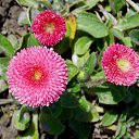 ��� 2017 �� ������� ���� ����������� (!) ��������)�