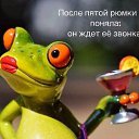 ���� �������, ����������, 52 ���� - ��������� 6 ��� 2017 � ������ ������ ��������