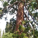  , , 60  -  17  2017      ,17.05.17.