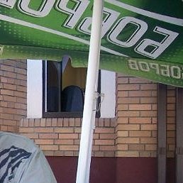 ���������, �������, 85 ���