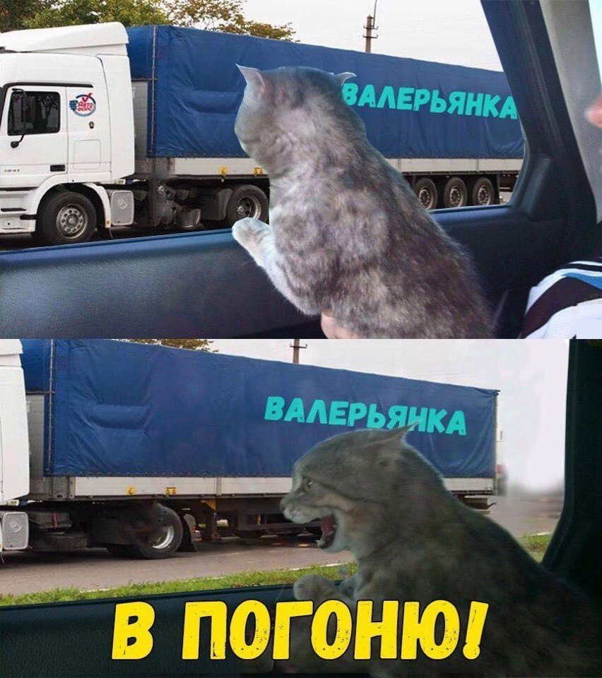    :D - 5  2017  04:06