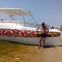 ���� �����, �����-���������, 43 ���� - ��������� 31 ���� 2017 � ������ ���� ����������