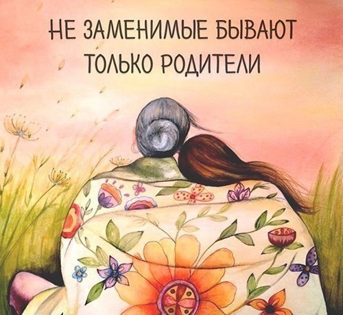   -  ,  -  - 20  2017  13:55