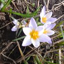 ���� ����, ������, 81 ��� - ��������� 9 ��� 2017 � ������ ������ ��������