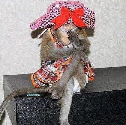      ?       ...   ?    ...