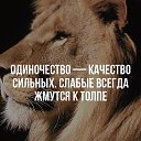 ���� ����, �����-���������, 43 ���� - ��������� 1 ������� 2017 � ������ ���� ����������