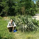 ���� ����, ����������� - ��������� 26 ���� 2017 � ������ ���� ����������