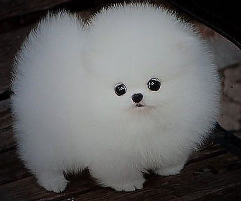 �������!!!