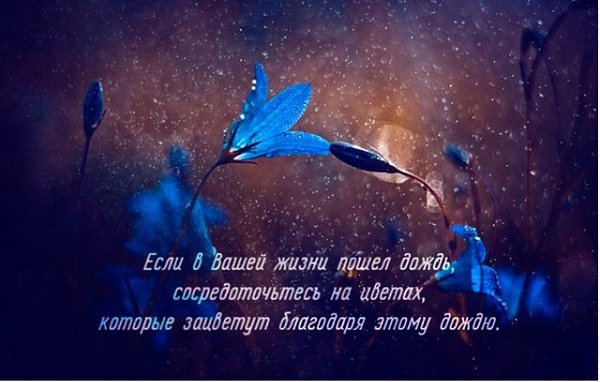 Жужжит, как улей вешний сад, В работе пчёлки суетливы, Чуть дунет ветер – снегопад Из лепестков, ну, ...