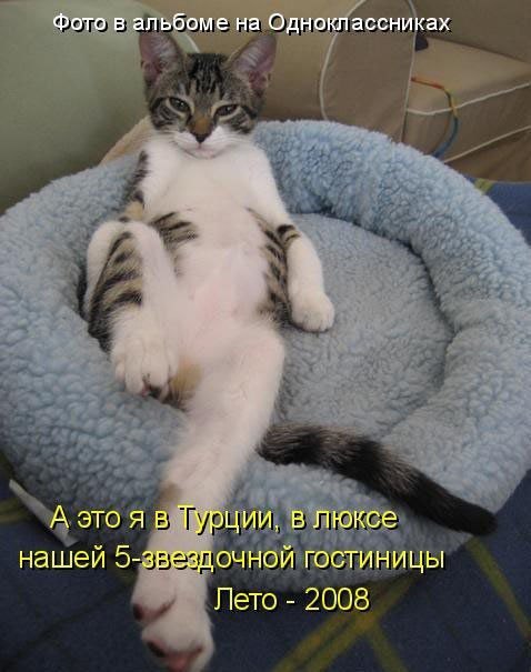   - 21  2017  16:02