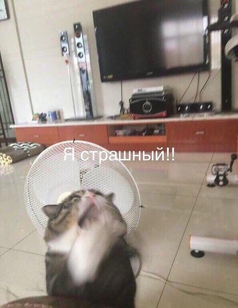  - 8  2017  18:02 - 3