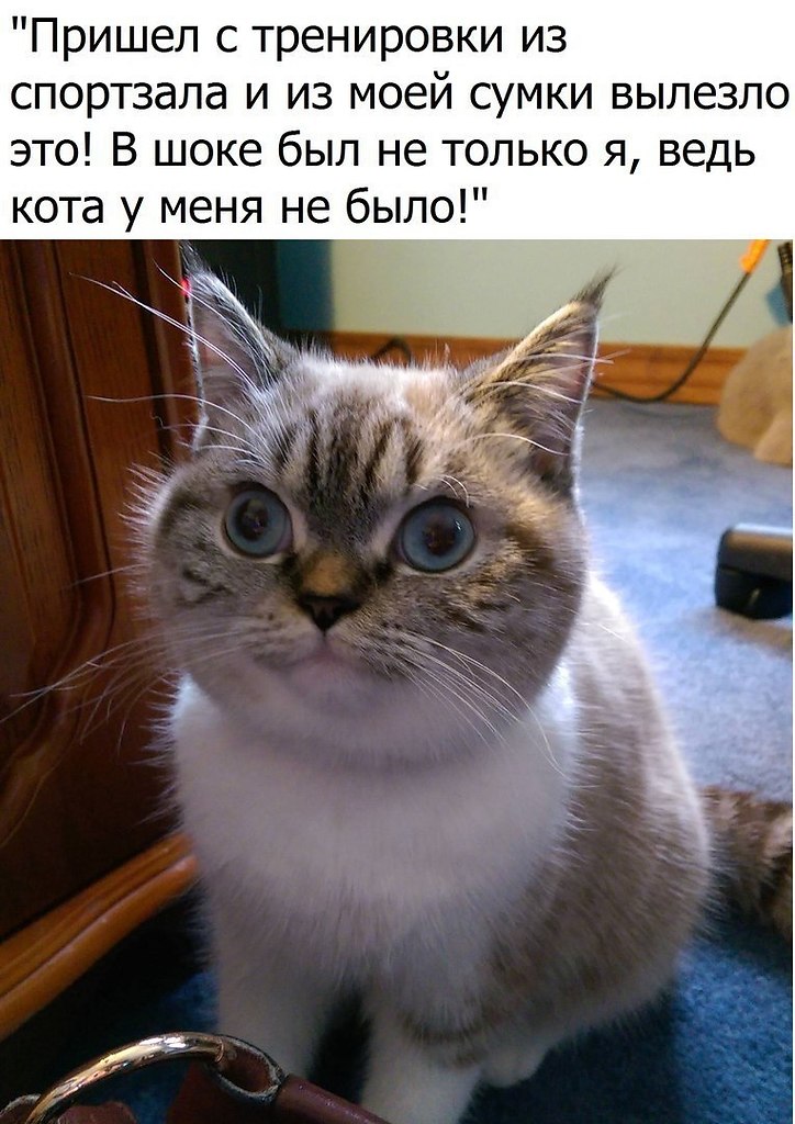  - 1  2017  03:31