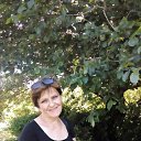 ���� ����, ����������, 64 ���� - ��������� 1 ���� 2017 � ������ ���� ����������