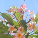 ���� �������, �������� - ��������� 8 ���� 2017 � ������ ����� 2017�