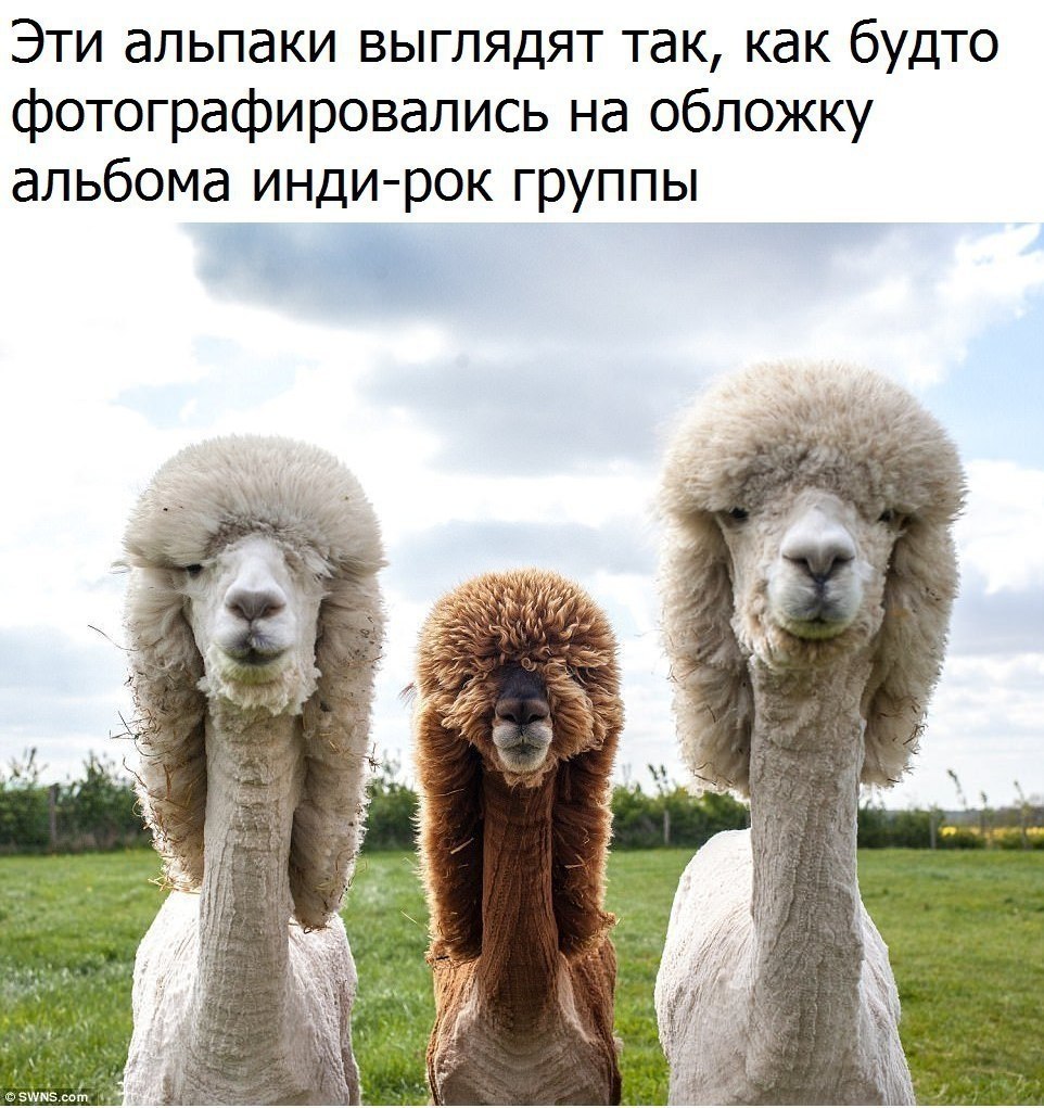  - 31  2017  03:49