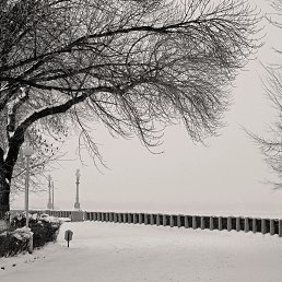 ���� �����, �����������, 48 ��� - ��������� 13 ������� 2017