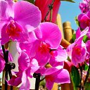  ,  -  15  2017       Ż