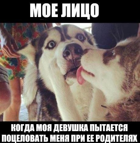  - 20  2017  18:50