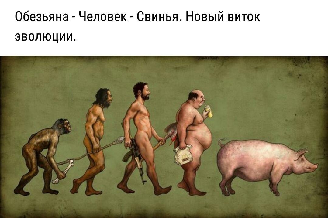  -   - 25  2017  20:07