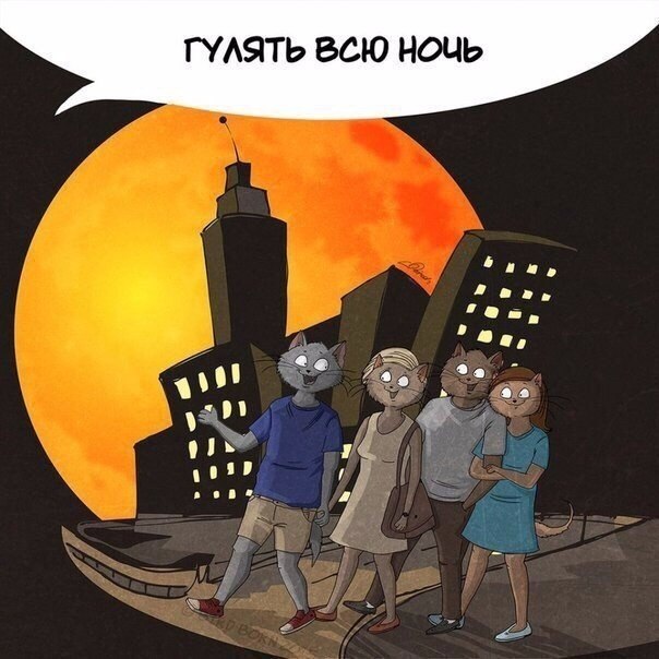 ,   .. - 6