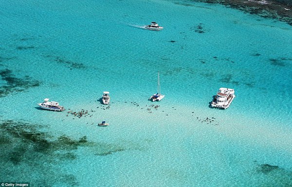   (Stingray City)        ...