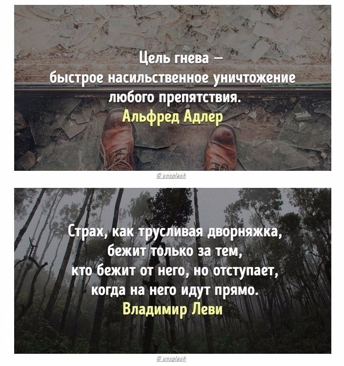 Весь опыт психологов мира в 20 цитатах. Прочтите и вдумайтесь в эти слова. - 2