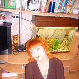 (((������, ��������, 49 ���