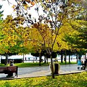  ,  -  24  2017                   Ѩ       һ