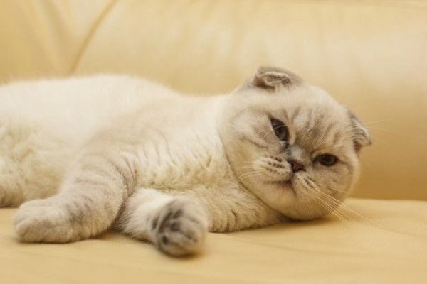       - 6  2017  16:58 - 3