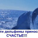  Stalker ( ), , 49  -  11  2017    