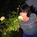 ���� ���������, ���������� �����, 68 ��� - ��������� 28 ��� 2017 � ������ ���� ����������