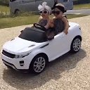 ���� ����������, �����������, 36 ��� - ��������� 25 ������ 2017 � ������ ���� ����������