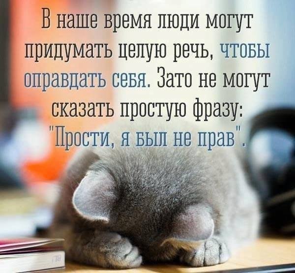  | ,  - 7  2017  07:19