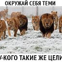 ���� ������, ������ - ��������� 20 ��� 2017 � ������ ���� ����������