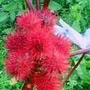 ���� &hearts; Svetlana &hearts;, ����������� - ��������� 10 ��� 2017 � ������ ����� ����.�