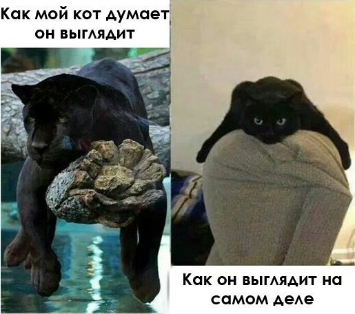  ))) ))))