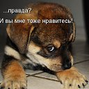  ,  -  29  2017    
