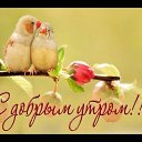 ���� Le, �������� - ��������� 13 �������� 2017 � ������ ���� ����������