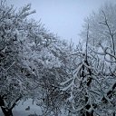���� Chinqiz Kerimov, ����, 61 ��� - ��������� 8 ������ 2017 � ������ ���� ����������
