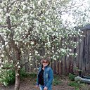 ���� ����, ������ ��������, 68 ��� - ��������� 30 ��� 2017 � ������ ���� ����������