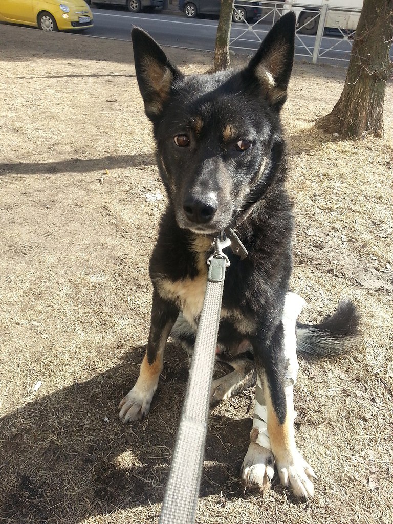 -  .   !   ,   ,   ,  ... - 6