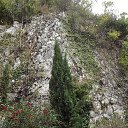 ���� ����, �������, 66 ��� - ��������� 20 �������� 2017 � ������ ��������-������ ����.�