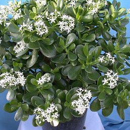 ���� �����, ������ - ��������� 28 ������ 2017