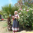 ���� ������, ������������ - ��������� 20 ��� 2017