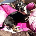  Levan, , 59  -  16  2017    