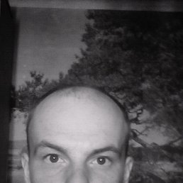 �������, �������, 38 ���